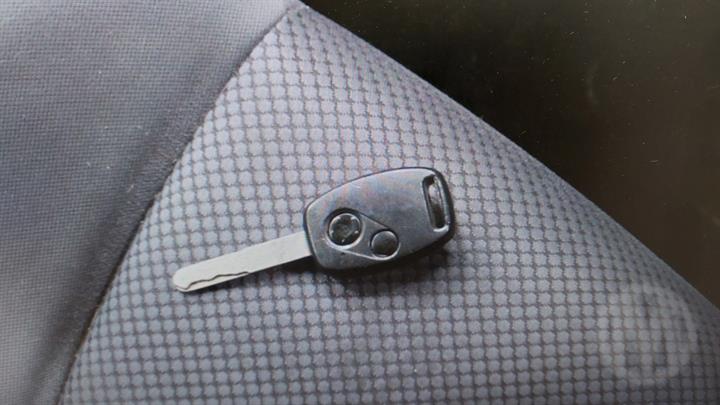 Lazy Owl Image