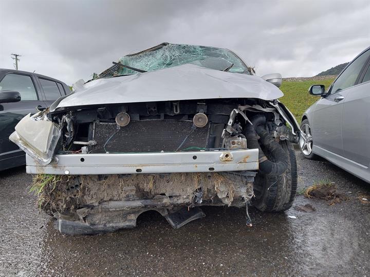 Lazy Owl Image