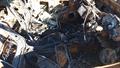 Lazy Owl Image