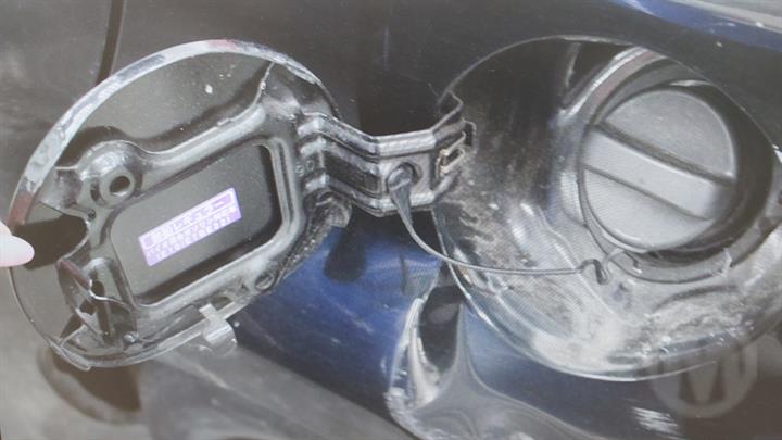 Lazy Owl Image