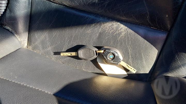 Lazy Owl Image