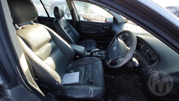 Lazy Owl Image