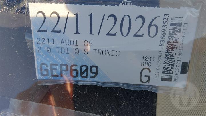 Lazy Owl Image