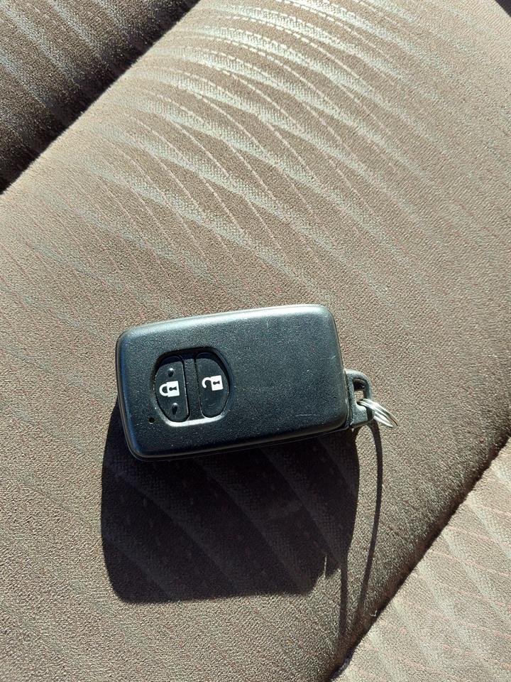 Lazy Owl Image