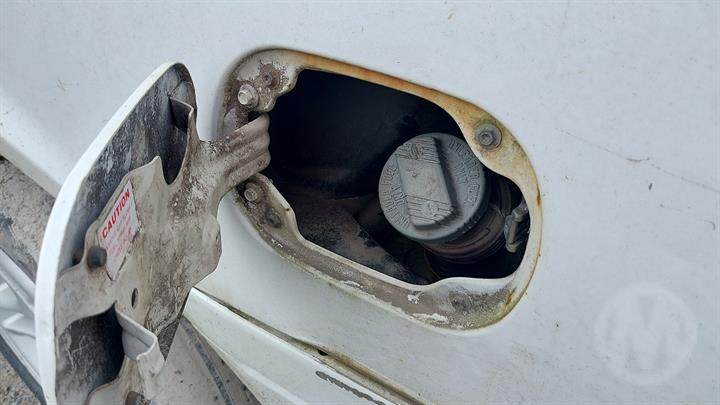 Lazy Owl Image