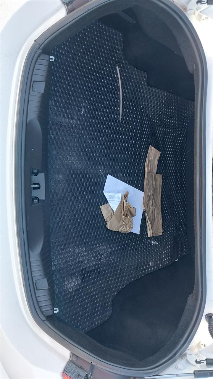 Lazy Owl Image
