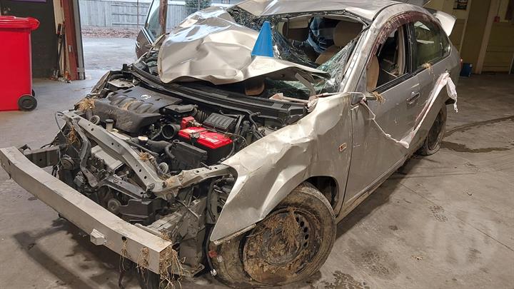 Lazy Owl Image