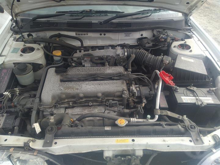 Lazy Owl Image