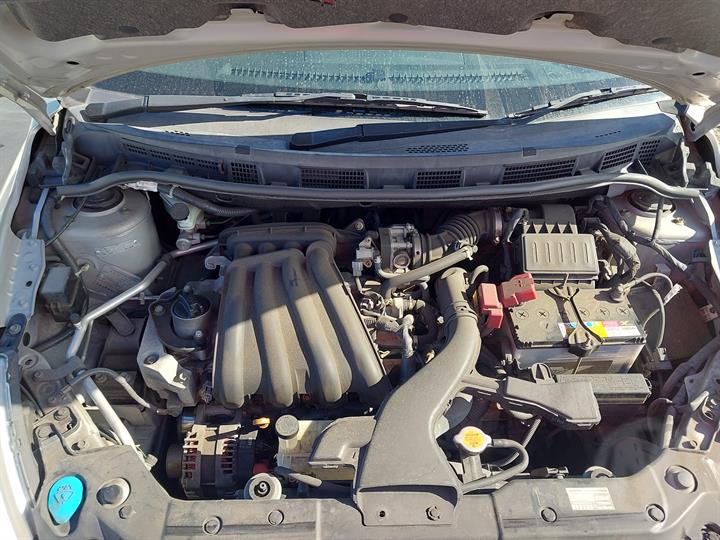 Lazy Owl Image