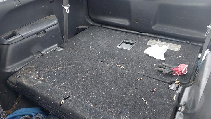 Lazy Owl Image