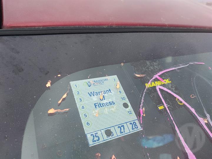 Lazy Owl Image