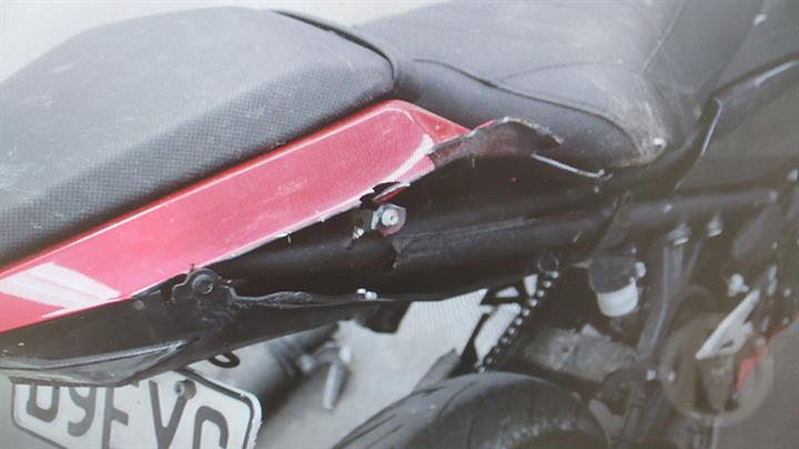 Lazy Owl Image
