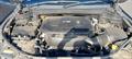 Lazy Owl Image