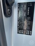Lazy Owl Image