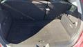 Lazy Owl Image