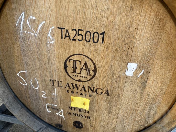 Lazy Owl Image
