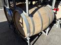 Lazy Owl Image