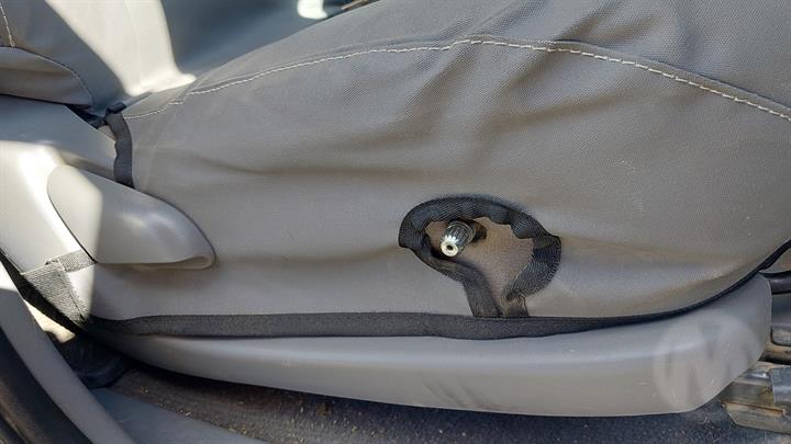 Lazy Owl Image