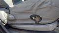 Lazy Owl Image