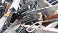 Lazy Owl Image