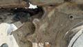 Lazy Owl Image