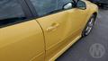 Lazy Owl Image