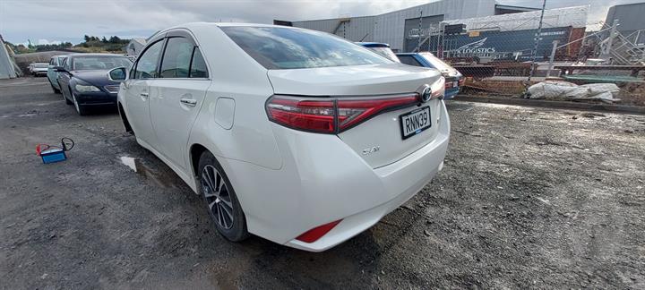 Lazy Owl Image