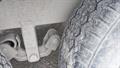 Lazy Owl Image