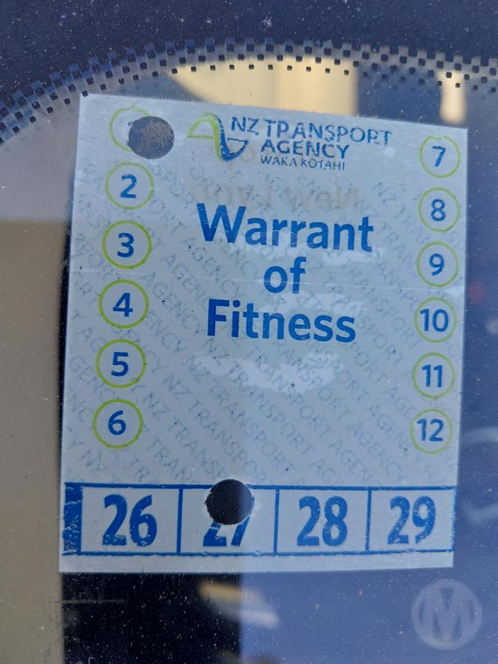 Lazy Owl Image