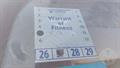 Lazy Owl Image