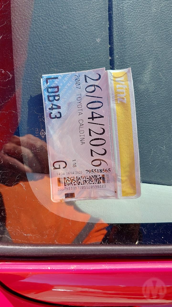 Lazy Owl Image