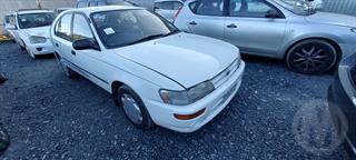 1995 Toyota Corolla 1.6P GL Hbac Hatch Photo