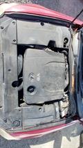 Lazy Owl Image