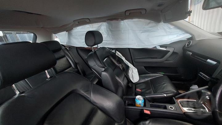Lazy Owl Image
