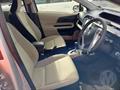 Lazy Owl Image