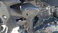 Lazy Owl Image