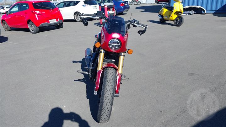 Lazy Owl Image