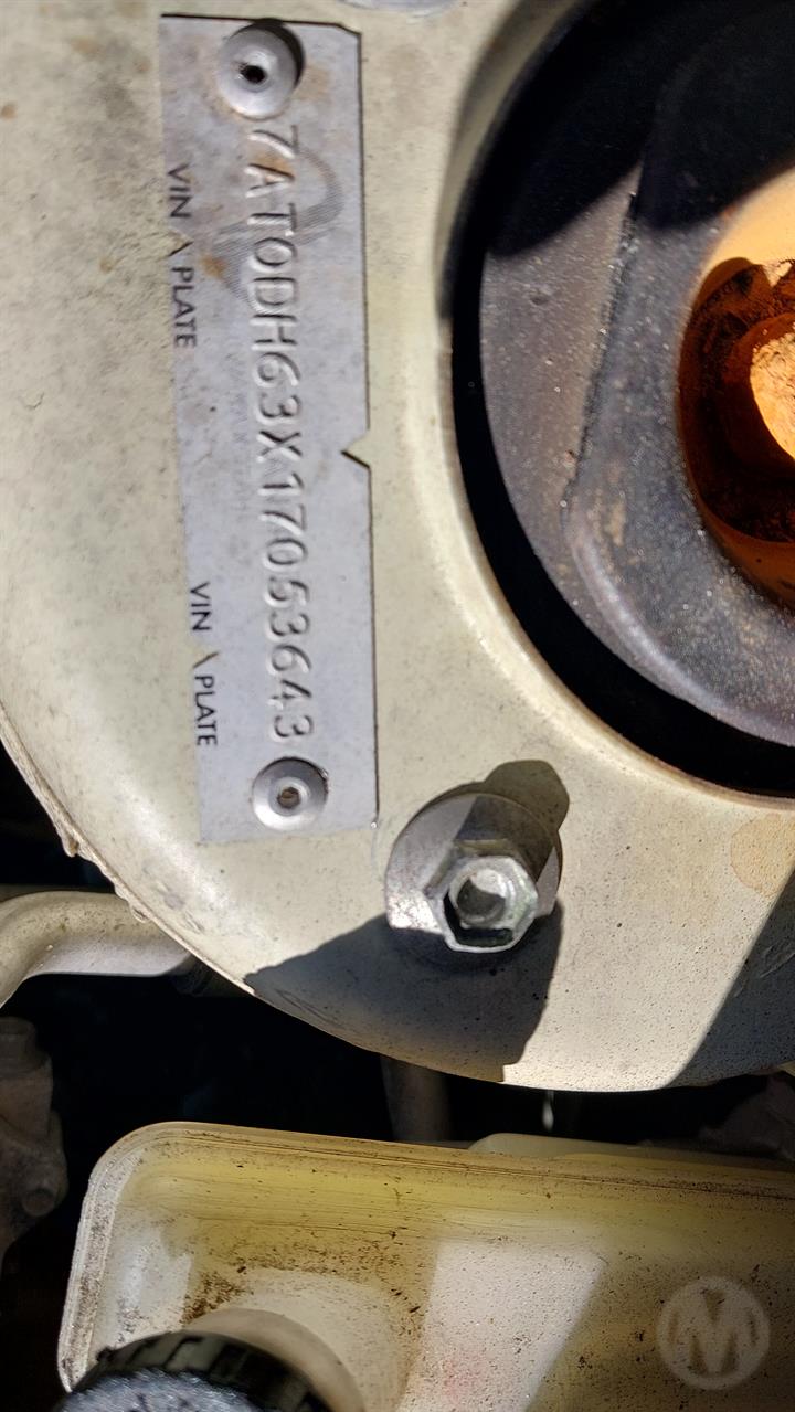 Lazy Owl Image