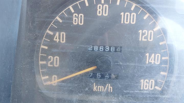 Lazy Owl Image