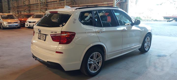 Lazy Owl Image