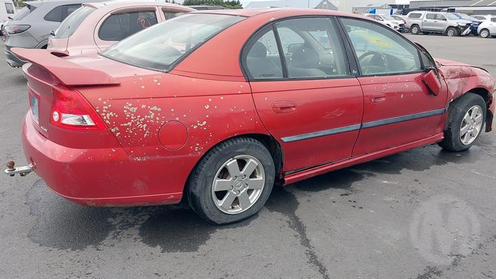 Lazy Owl Image