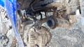 Lazy Owl Image