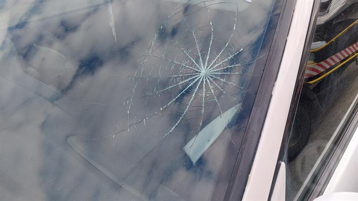 Lazy Owl Image