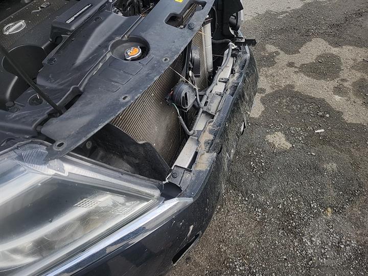 Lazy Owl Image
