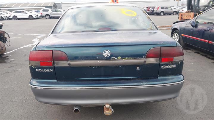 Lazy Owl Image