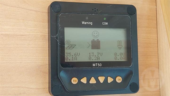 Lazy Owl Image