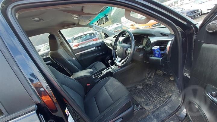 Lazy Owl Image