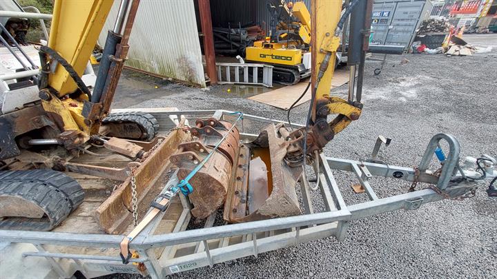Lazy Owl Image