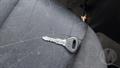 Lazy Owl Image