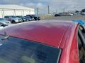 Lazy Owl Image